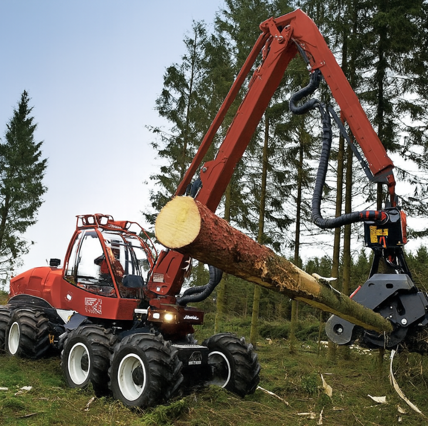 forestry_lg2